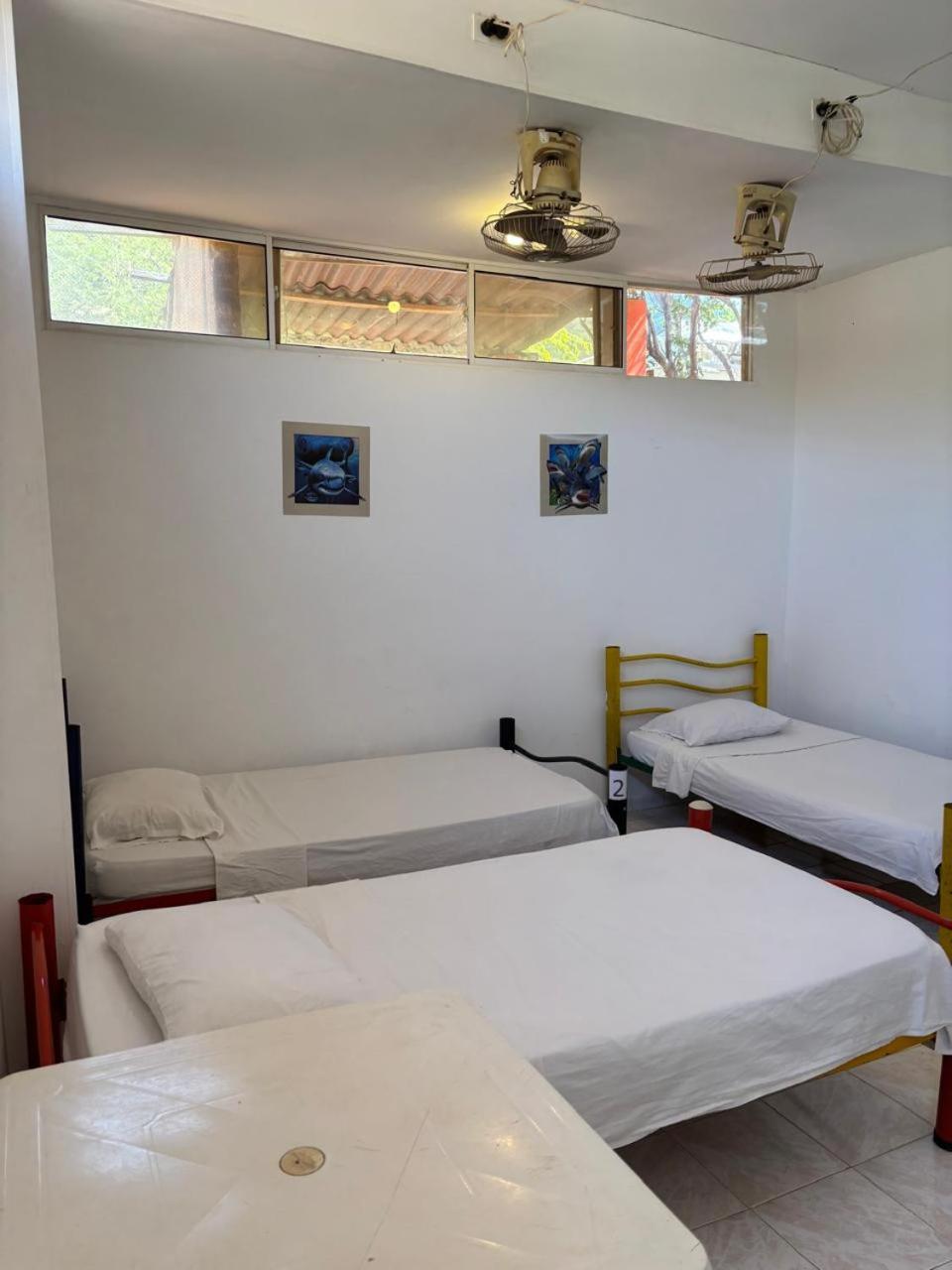 Sierraventura Hostel Taganga Exterior photo